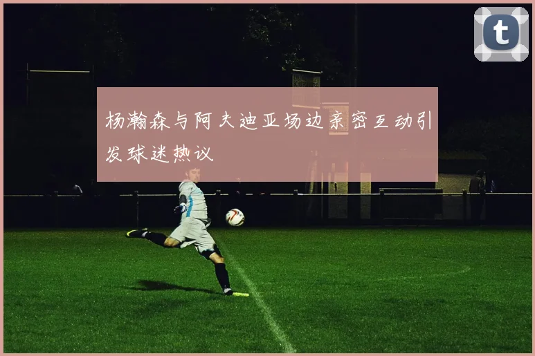 杨瀚森与阿夫迪亚场边亲密互动引发球迷热议