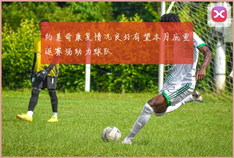 约基奇康复情况良好有望本月底重返赛场助力球队