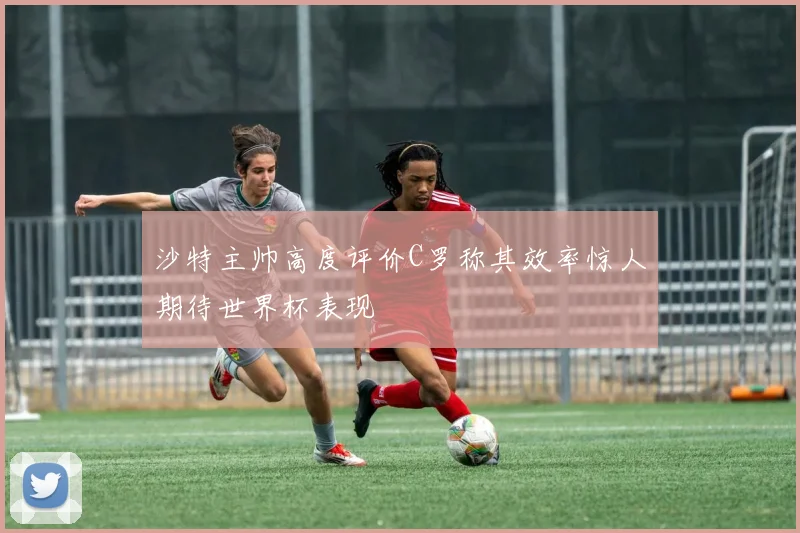 沙特主帅高度评价C罗称其效率惊人期待世界杯表现
