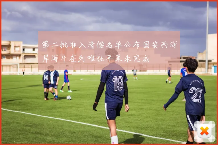 第二批准入清偿名单公布国安西海岸海牛在列唯独平果未完成