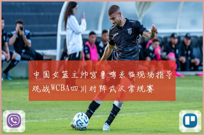 中国女篮主帅宫鲁鸣亲临现场指导观战WCBA四川对阵武汉常规赛